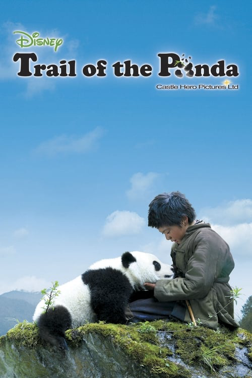 Free Panda Movie